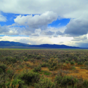 40.38 Acre Ranch- Humboldt Nevada* Winnemucca* Road Access* Next to Hwy 80*  Mountain Views* Mineral Rights* $26,995.00 Sale Price *$695.00 Deposit * $329.00 a month * APN  :05-0477-10