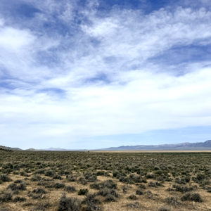 Gold Mining Land Special *640 Acres in Elko Nevada- Independence Valley* *Great Opportunity to Subdivide! * Road Access* $269,000.00 Sale Price * $4,500.00 Deposit  * $1,795.00 a month *APN: 009100005