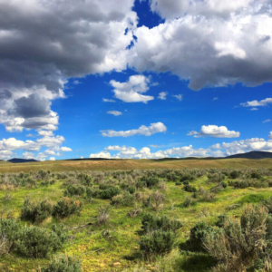 41.00 Acre Ranch in Humboldt Nevada-05-0424 * $499 Deposit * $27,995.00 Sale Price * $379.00 a month