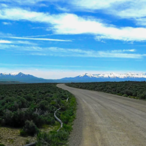 40 Acres in Elko Nevada * Easements * Freeway Access * Views & Power* Build your next home * $38,995.00 Sale Price * $695.00 Deposit * $350.00 a month APN #  007-11D-003