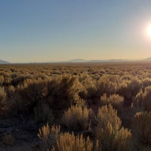 10 Acres San Luis Colorado- Right off of Rio Grand River APN 71524980 * $250.00 Deposit * $9,995.00 Sale Price * $175.00 a month