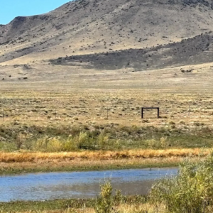 1.645 Acres in Pershing County, Nevada- 010-533 * $499.00 Deposit * $11,495.00 Sale Price * $200.00 a month