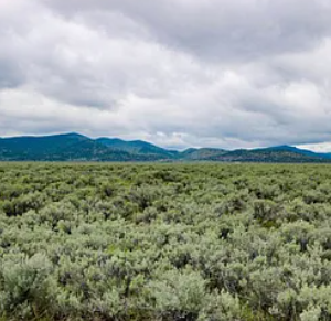 10 ACRE RANCH IN LASSEN CA ON US 395 HWY *$50.00 Deposit *$11,995.00 Sale Price