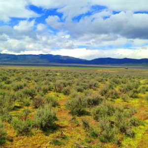 80 Acres (5 Minutes from Lovelock NV) Road Access * Power at the Property! * Sale Price $99,995.00 * $895.00 Deposit * $799.00 a month &  No Prepayment Penalty * No Credit Check!  APN 003-521-05/06