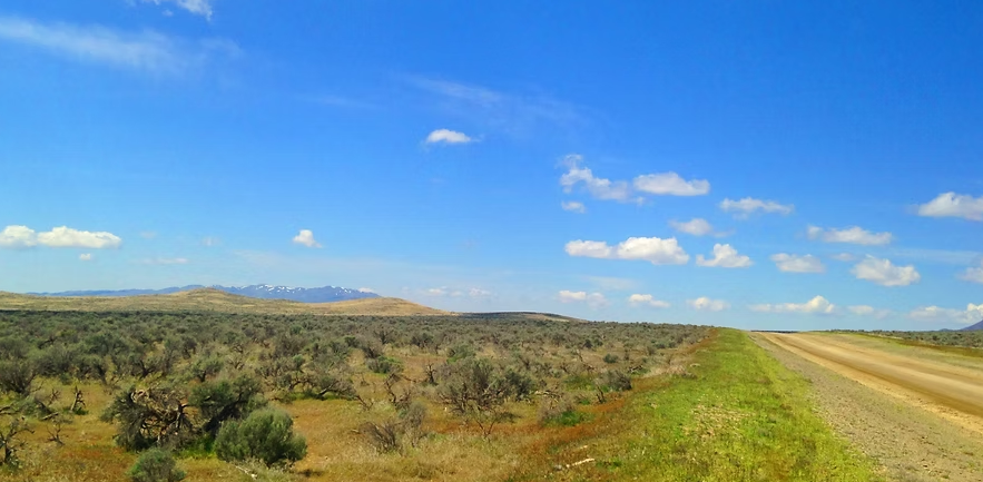 Antelope Valley 37.88-Acre Ranch!!! Pershing Co. Nevada - You’re surrounded by BLM land on two sides * $22,995.00 Sale Price * $499 Deposit * $275.00 a Month * 015-610-12 * Mineral Rights & Warranty Deed - Image 2