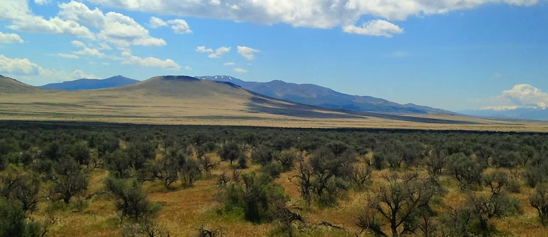 Antelope Valley 37.88-Acre Ranch!!! Pershing Co. Nevada - You’re surrounded by BLM land on two sides * $22,995.00 Sale Price * $499 Deposit * $275.00 a Month * 015-610-12 * Mineral Rights & Warranty Deed - Image 5