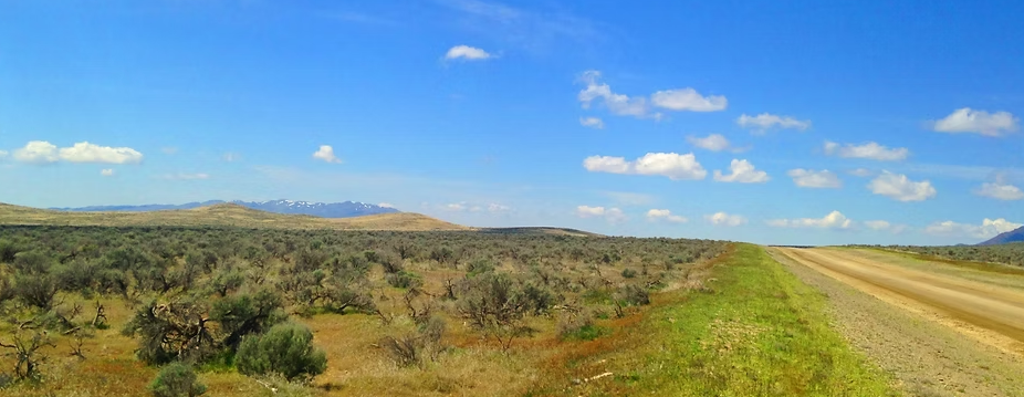 Antelope Valley 37.88-Acre Ranch!!! Pershing Co. Nevada - You’re surrounded by BLM land on two sides * $22,995.00 Sale Price * $499 Deposit * $275.00 a Month * 015-610-12 * Mineral Rights & Warranty Deed - Image 7