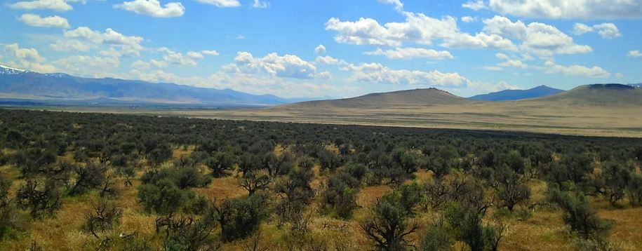 Antelope Valley 37.88-Acre Ranch!!! Pershing Co. Nevada - You’re surrounded by BLM land on two sides * $22,995.00 Sale Price * $499 Deposit * $275.00 a Month * 015-610-12 * Mineral Rights & Warranty Deed - Image 8