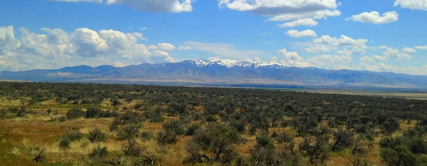 Antelope Valley 37.88-Acre Ranch!!! Pershing Co. Nevada - You’re surrounded by BLM land on two sides * $22,995.00 Sale Price * $499 Deposit * $275.00 a Month * 015-610-12 * Mineral Rights & Warranty Deed - Image 9
