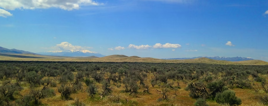 Antelope Valley 37.88-Acre Ranch!!! Pershing Co. Nevada - You’re surrounded by BLM land on two sides * $22,995.00 Sale Price * $499 Deposit * $275.00 a Month * 015-610-12 * Mineral Rights & Warranty Deed - Image 10