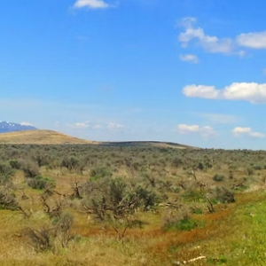 Antelope Valley 37.88-Acre Ranch!!! Pershing Co. Nevada - You’re surrounded by BLM land on two sides * $22,995.00 Sale Price * $499 Deposit * $275.00 a Month * 015-610-12 * Mineral Rights & Warranty Deed