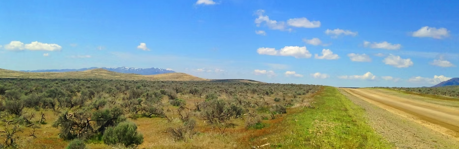 Antelope Valley 37.88-Acre Ranch!!! Pershing Co. Nevada - You’re surrounded by BLM land on two sides * $22,995.00 Sale Price * $499 Deposit * $275.00 a Month * 015-610-12 * Mineral Rights & Warranty Deed
