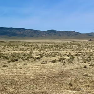 40.09 Acres in Buena Vista Valley Nevada* Legal Access Easements & Nearby BLM Ground* $27,995.00 Sale Price * $695.00 Deposit * $399.00 a month *APN: 015-181-09