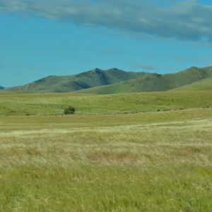287 Acres in Lovelock Nevada * BLM Surrounding* Legal Easement Road Access* Mineral Rights * Amazing Views* 7 Individual APN/Parcels * $156,995.00 Sale Price * $2,1750.00 Deposit & $899.00 a month *015-240-03