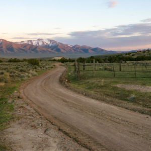 Get Back to Gold Mining! Mineral Rights* Buena Vista Valley 20-Acres! Pershing Co. Nevada - 011-220-02  $22,995.00 Sale Price * $595.00 Deposit * $379.00 a month