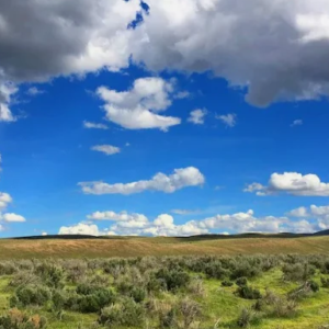 41.00 Acre Ranch in Humboldt Nevada- Road Access * Great Views * $27,995.00 Sale Price * $695.00 Deposit * $349.00 a month * APN 05-0424-11