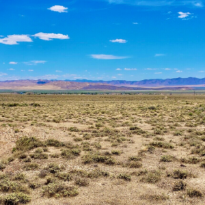 13.88  Acres- Crescent Valley Eureka County Nevada! * Direct Access * BLM On Two Sides* Bring Your RV & Camp*  & NO HOA $14,995.00 Sale Price $595.00 Deposit * $299.00 a month APN: 005-300-01