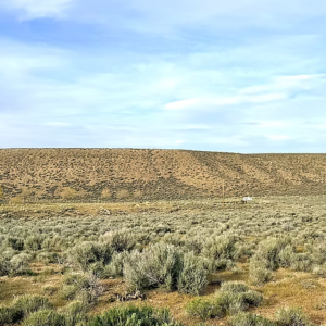 10 Acres- Elko Nevada* BLM Adjacent* Ruby View Ranchos* Bring your RV* Camp or Build Your Next Home* No HOA * Power* $32,995.00 Sale Price $795.00 Deposit *$349.00 a month *APN: 072-003-18/17