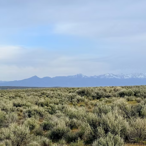 5 Acres- Elko Nevada* BLM Adjacent* Ruby View Ranchos* Bring your RV* Camp or Build Your Next Home* No HOA * Power* $17,995.00 Sale Price $595.00 Deposit *$269.00 a month *APN: 072-003-18
