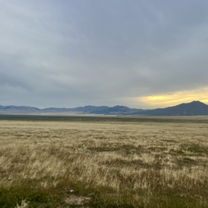 20 Acres * Incredible Scenery * Imlay (Mill City) * Great Access * Power * $19,945.00 Sale Price $495.00 Deposit * $279.00 a Month
