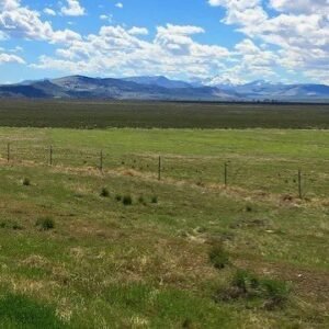 Welcome Back to Gold Mining! 40 Acres in Crescent Valley Nevada * Power * Road Access * Views * Next to BLM Land * $24,995.00 Sale Price * $695.00  Deposit $345.00 a month * Mineral Rights * Warranty Deed 005-410-35