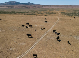 140 Acres in Lucin, Utah – 5 Adjoining APNs, Great Road Access & Views (Box Elder County)