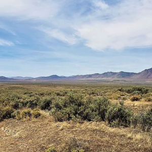 160 Acres in Imlay, NV – Summit Spring / Buffalo Mountain, Surrounded by BLM, Road Access, Water