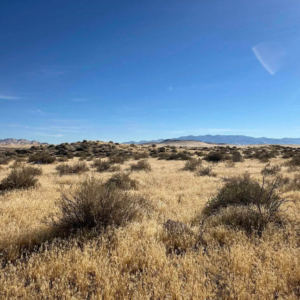 4.87 Acre in Winnemucca, Nevada — Right off Hwy 80, Power Available