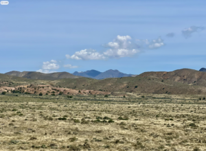 40 Acres in Pershing County, NV – Buena Vista Valley — BLM Adjacent, Easements, Views