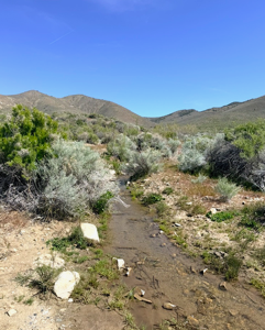 160 Acres in Imlay, NV – Summit Spring / Buffalo Mountain, Surrounded by BLM, Road Access, Water