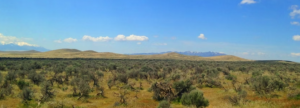 124 Acre Ranch in Antelope Valley, Lovelock, NV – 3 APNs, Exceptional Access, BLM Connectivity