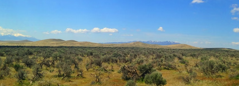 124 Acre Ranch in Antelope Valley, Lovelock, NV – 3 APNs, Exceptional Access, BLM Connectivity