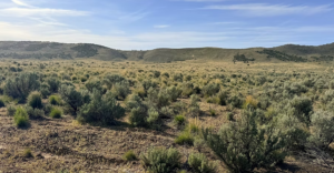 20 Acre Ranch Property in Elko, Nevada – Gold Mining Gem, Road Access, Amazing Views, Power