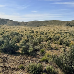 20 Acre Ranch Property in Elko, Nevada – Gold Mining Gem, Road Access, Amazing Views, Power