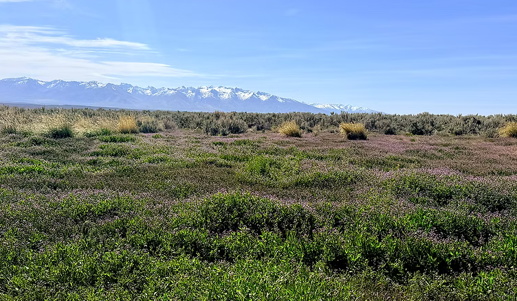 1.13 Acre Ranch Lot in Spring Creek, Elko, Nevada – Road Frontage, Spectacular Views, Power