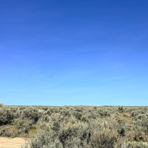 1.13 Acre Ranch Lot in Spring Creek, Elko, Nevada – Road Frontage, Spectacular Views, Power