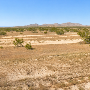 2.8 Acre Lot in California City, CA – Road Frontage, Power at the Lot, Warranty Deed (Kern County)