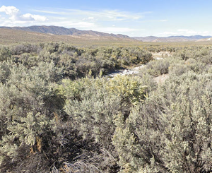 160 Acres in Imlay, NV – Summit Spring / Buffalo Mountain, Surrounded by BLM, Road Access, Water