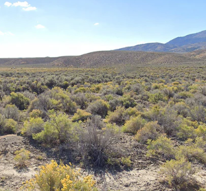 160 Acres in Imlay, NV – Summit Spring / Buffalo Mountain, Surrounded by BLM, Road Access, Water