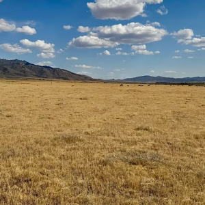 1.55 Acres in Humboldt River Ranch – Pershing County, NV — Power, Road Access, Near Rye Patch Reservoir