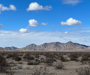 5 Acres in Vidal, California – Great Location & Access, Camping, Mobile Home, Build (San Bernardino County)