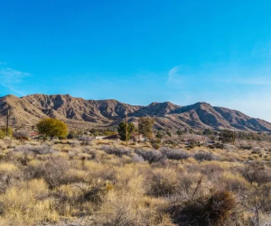 5 Acres in Vidal, California – Great Location & Access, Camping, Mobile Home, Build (San Bernardino County)