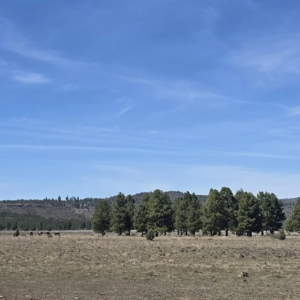 120 Acres for Sale in Sprague River, Oregon – Camping & Recreational Living (Klamath County)