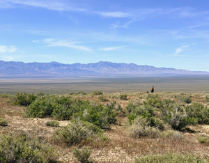 160 Acres in Imlay, NV – Summit Spring / Buffalo Mountain, Surrounded by BLM, Road Access, Water