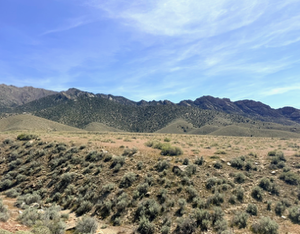 160 Acres in Imlay, NV – Summit Spring / Buffalo Mountain, Surrounded by BLM, Road Access, Water