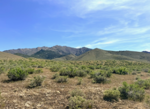 160 Acres in Imlay, NV – Summit Spring / Buffalo Mountain, Surrounded by BLM, Road Access, Water
