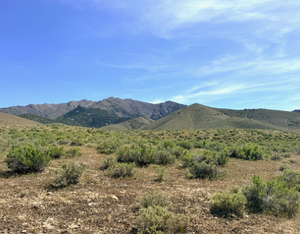160 Acres in Imlay, NV – Summit Spring / Buffalo Mountain, Surrounded by BLM, Road Access, Water