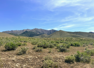 160 Acres in Imlay, NV – Summit Spring / Buffalo Mountain, Surrounded by BLM, Road Access, Water